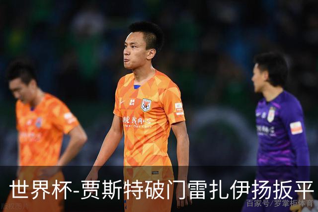 世界杯-贾斯特破门雷扎伊扬扳平 半场伊朗1-1新西兰