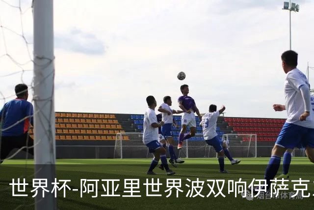 世界杯-阿亚里世界波双响伊萨克1射2传 瑞典5-1突尼斯